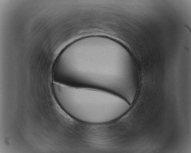 X0000102041518200807181018