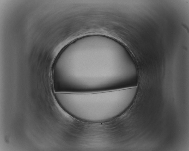 X0000102041519200807181018
