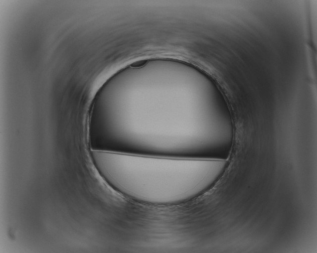 X0000102041520200807181018