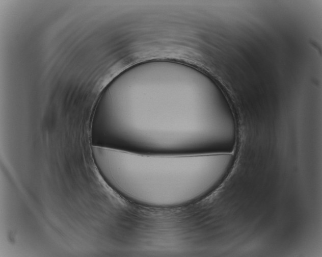 X0000102041521200807181018