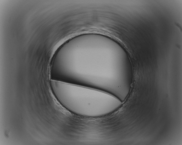 X0000102041522200807181018