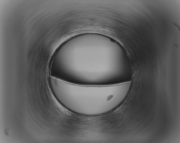 X0000102041523200807181018