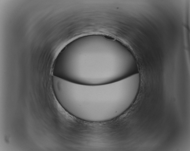 X0000102041524200807181018