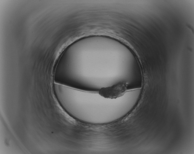 X0000102041525200807181018