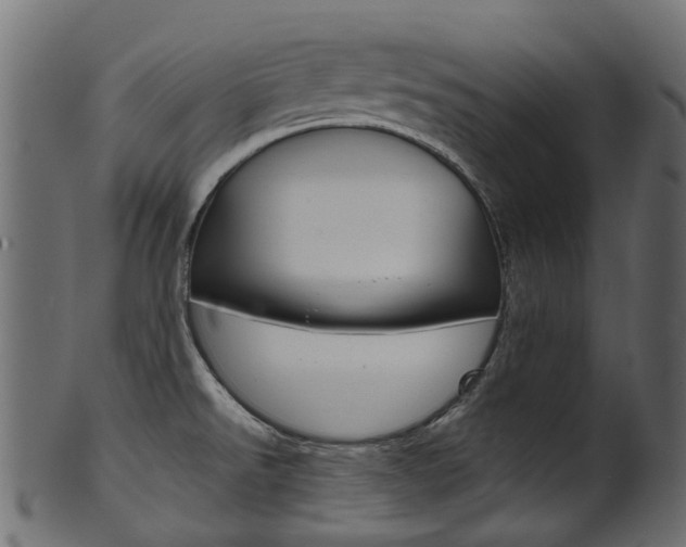 X0000102041526200807181018