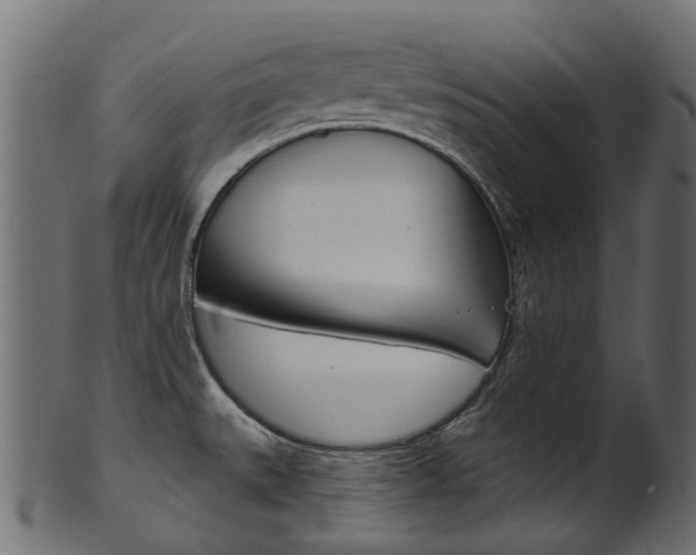 X0000102041527200807181018