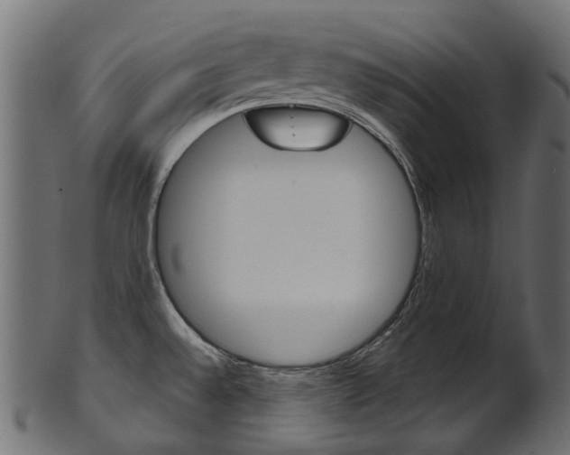X0000102041528200807181018