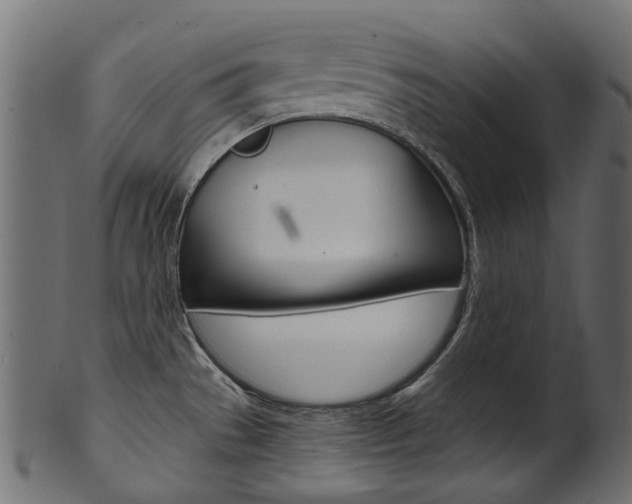 X0000102041529200807181018
