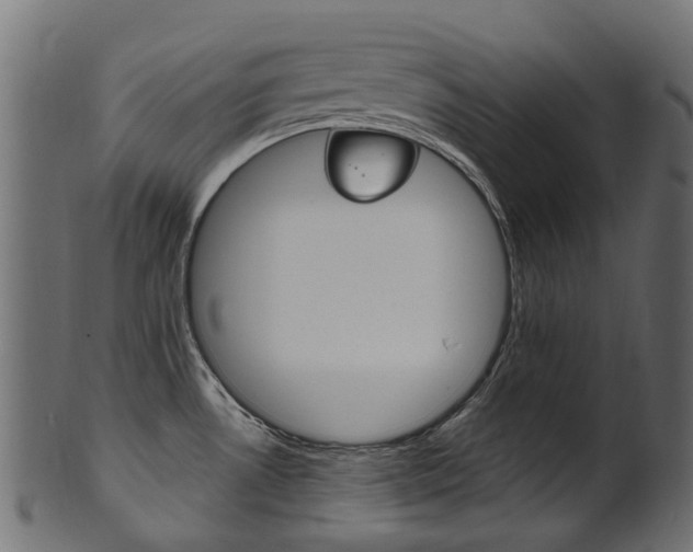 X0000102041530200807181018