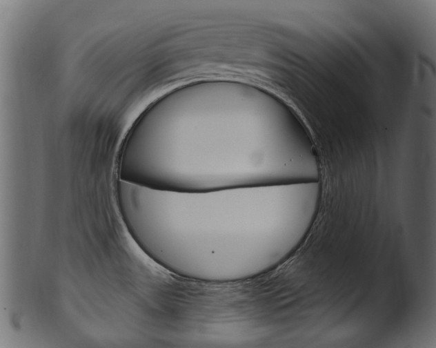 X0000102041531200807181018