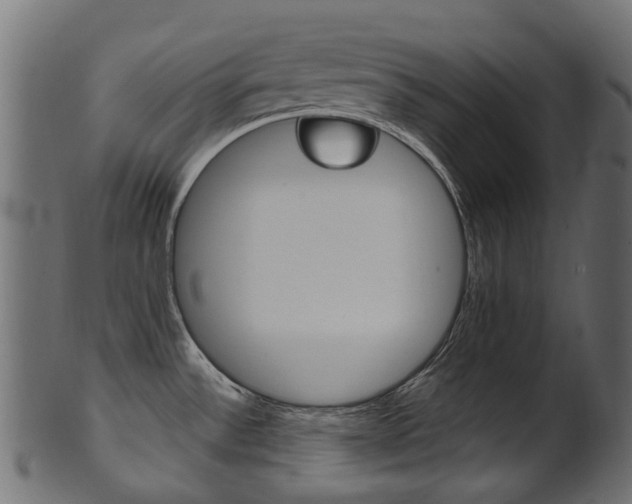 X0000102041532200807181018
