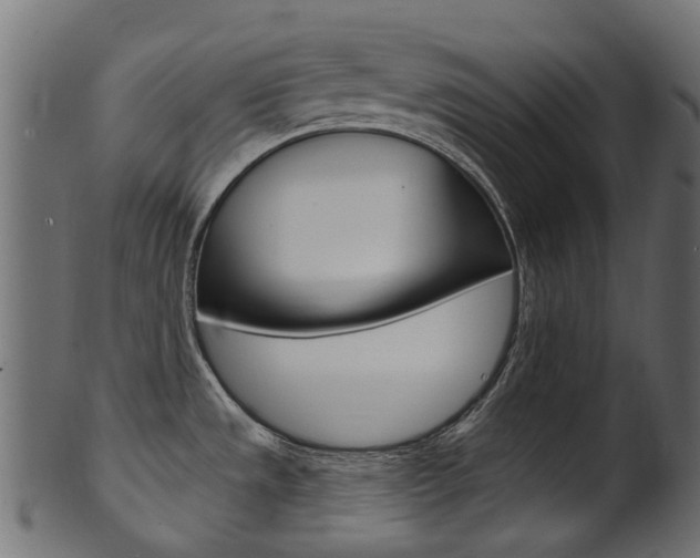 X0000102041533200807181018