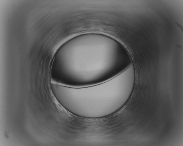 X0000102041534200807181018