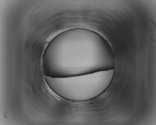 X0000102041535200807181018