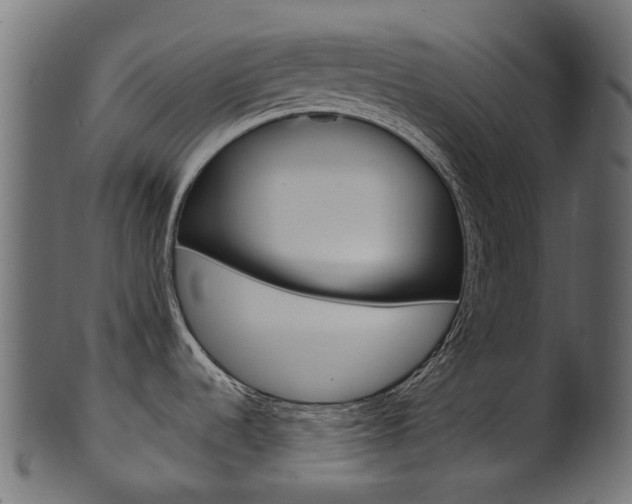 X0000102041536200807181018