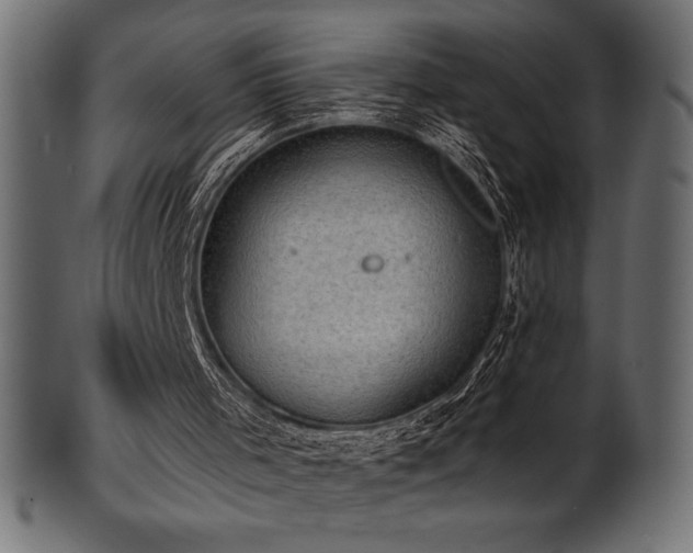 X0000102040001200807181523