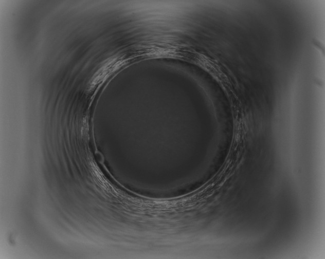 X0000102040002200807181523