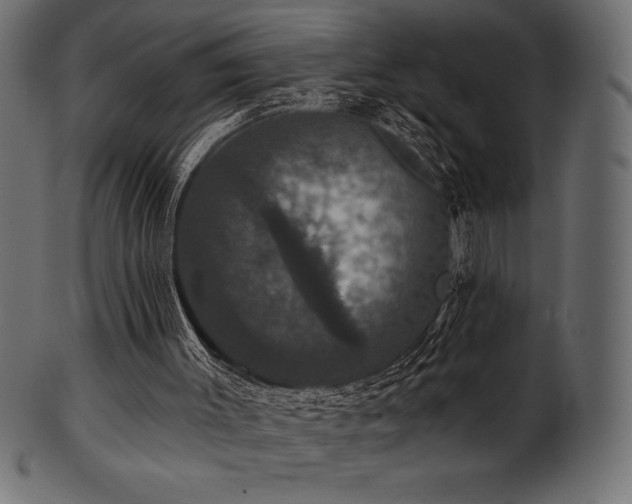 X0000102040003200807181523