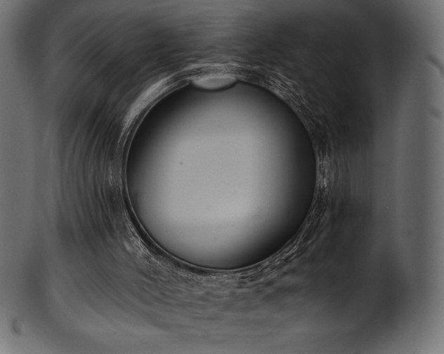 X0000102040004200807181523