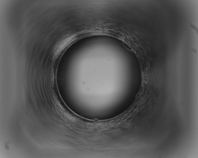 X0000102040005200807181523