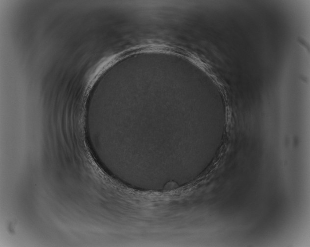 X0000102040007200807181523