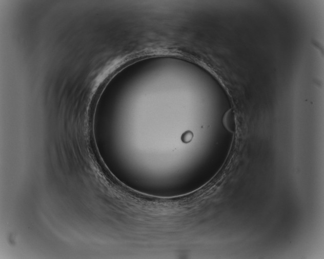 X0000102040008200807181523