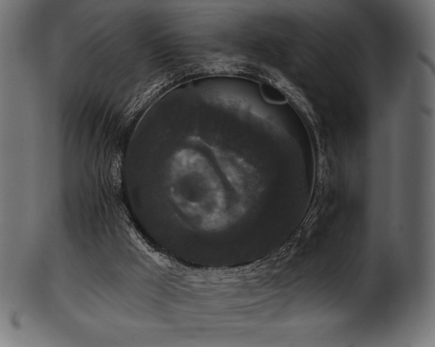 X0000102040009200807181523