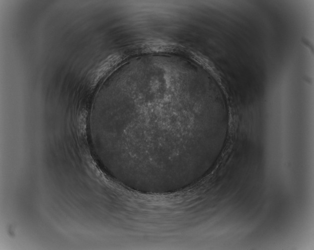 X0000102040010200807181523