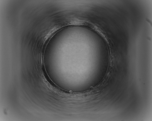 X0000102040011200807181523