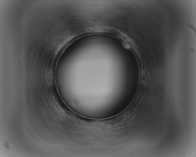 X0000102040012200807181523