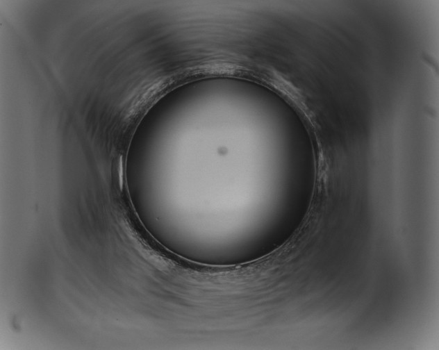 X0000102040013200807181523