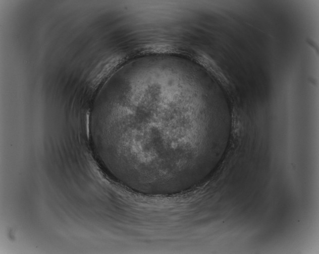 X0000102040014200807181523