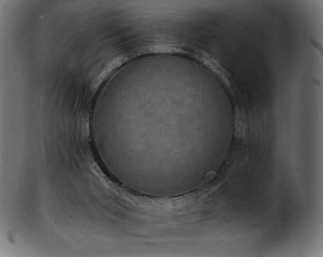 X0000102040015200807181523