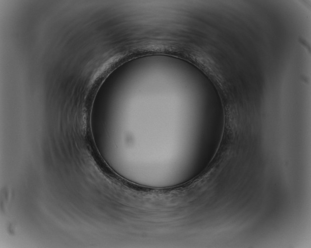 X0000102040016200807181523