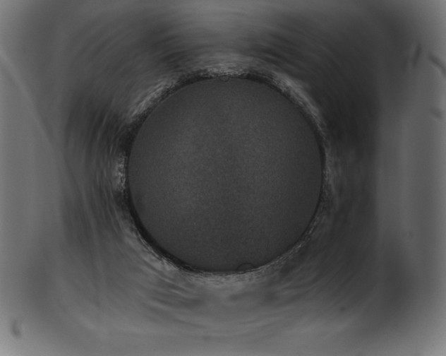 X0000102040017200807181523