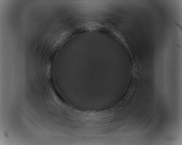 X0000102040018200807181523