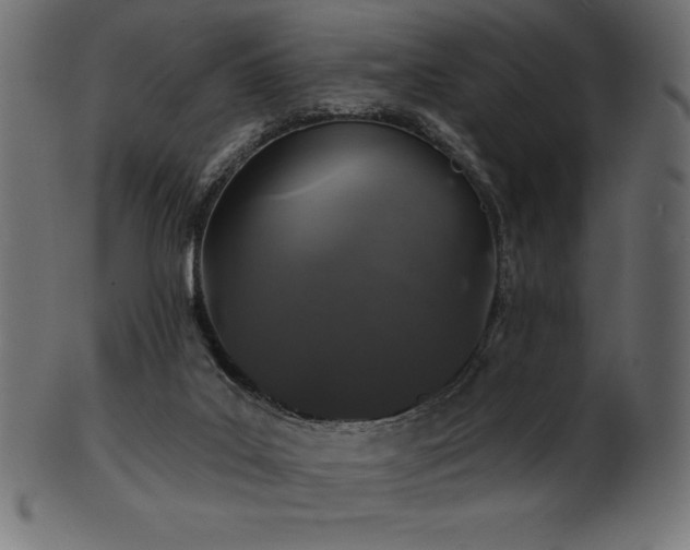 X0000102040019200807181523