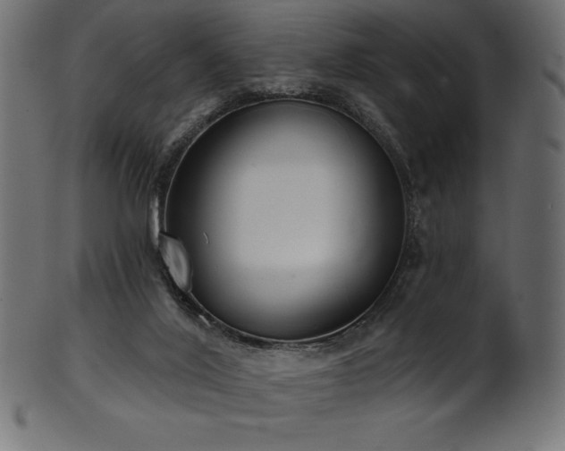 X0000102040020200807181523