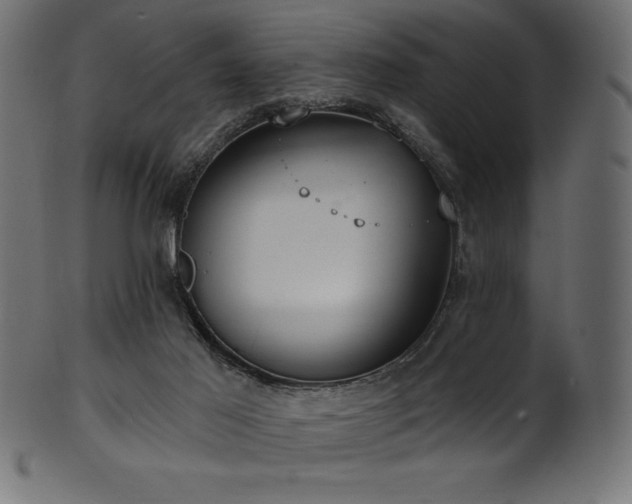 X0000102040021200807181523