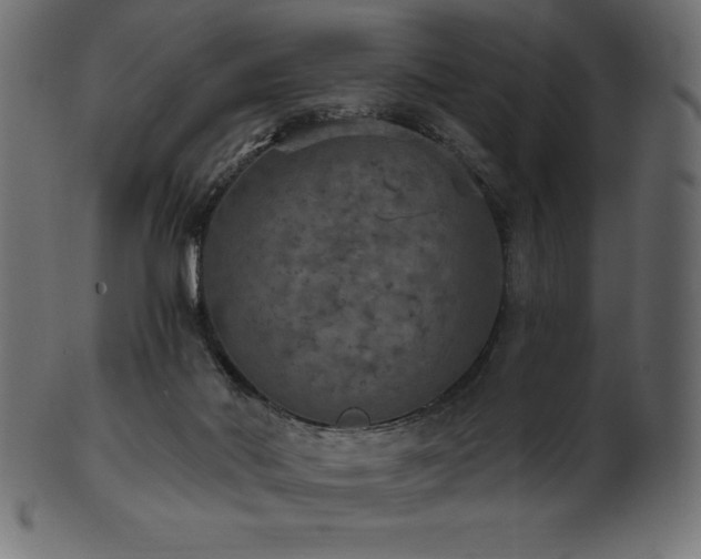 X0000102040022200807181523