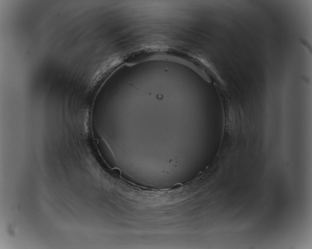 X0000102040023200807181523