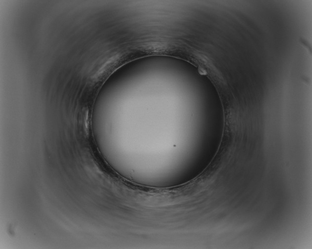 X0000102040024200807181523