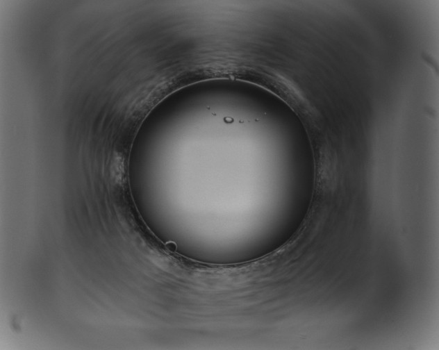 X0000102040025200807181523