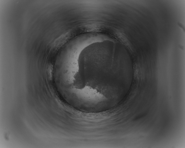 X0000102040026200807181523