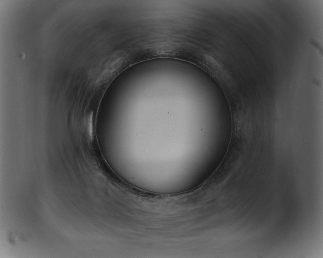 X0000102040028200807181523