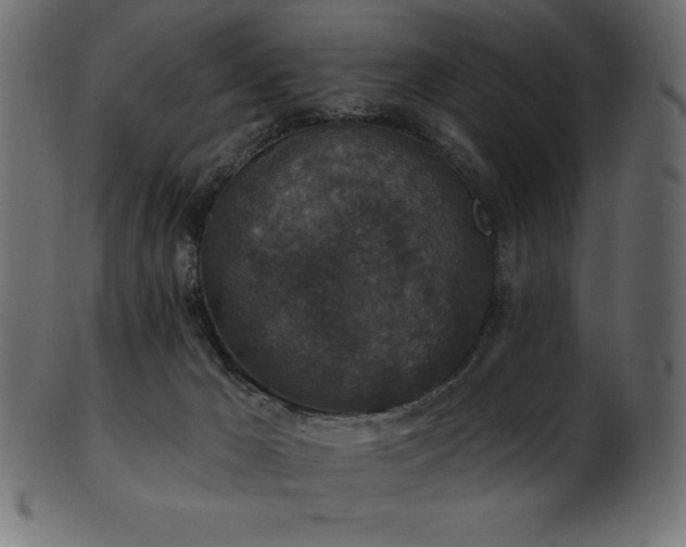 X0000102040029200807181523