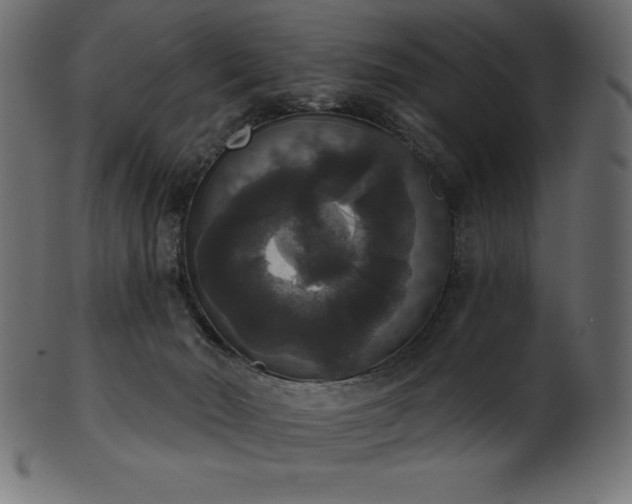 X0000102040030200807181523