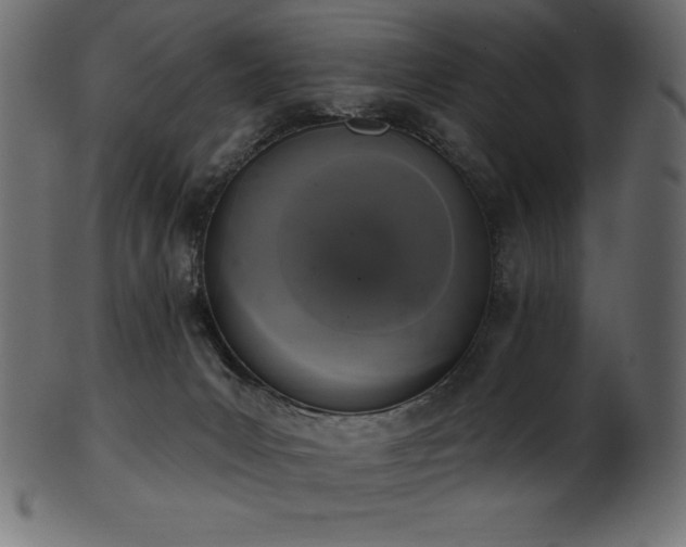 X0000102040031200807181523