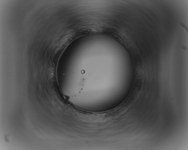 X0000102040032200807181523