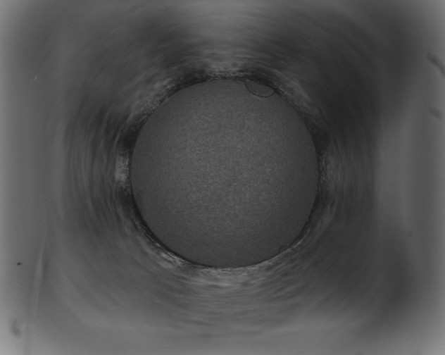 X0000102040033200807181523